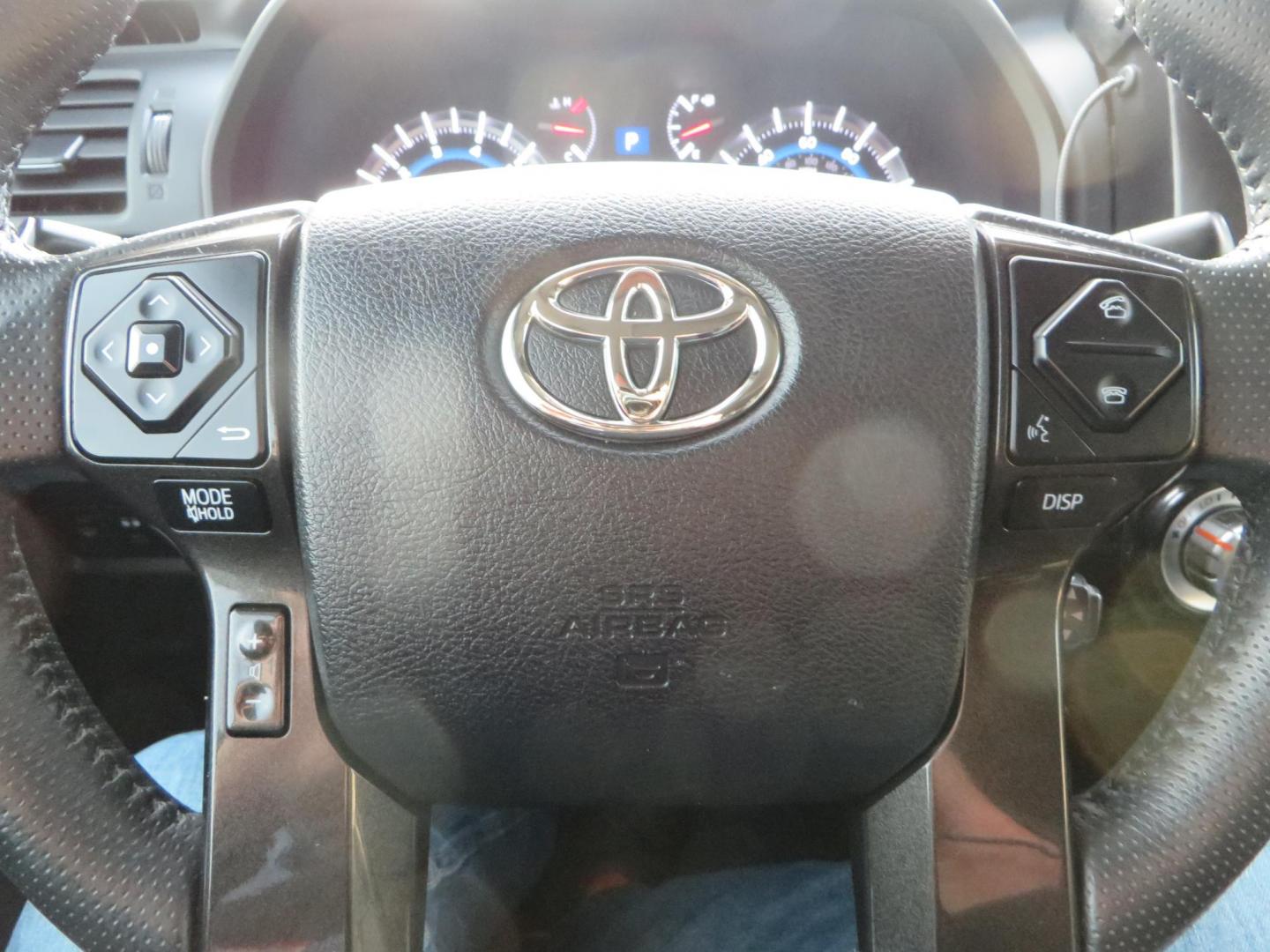 2019 CHARCOAL /BLACK Toyota 4Runner TRD Off-Road Premium 4WD (JTEBU5JR8K5) with an 4.0L V6 DOHC 24V engine, 5A transmission, located at 2630 Grass Valley Highway, Auburn, CA, 95603, (530) 508-5100, 38.937893, -121.095482 - Looking for a 4Runner to start your overlanding adventures? Check out this TRD Off-Road Premium Featuring Dobinson suspension, TRD wheels, Toyo AT tires, Gobi Roof Rack and ladder, Rock Sliders, Baja Designs A pillar lights, C4 Skid Plate, Bug Guards, AVS window vetn visors, ICS dash mount, CB, Spri - Photo#41