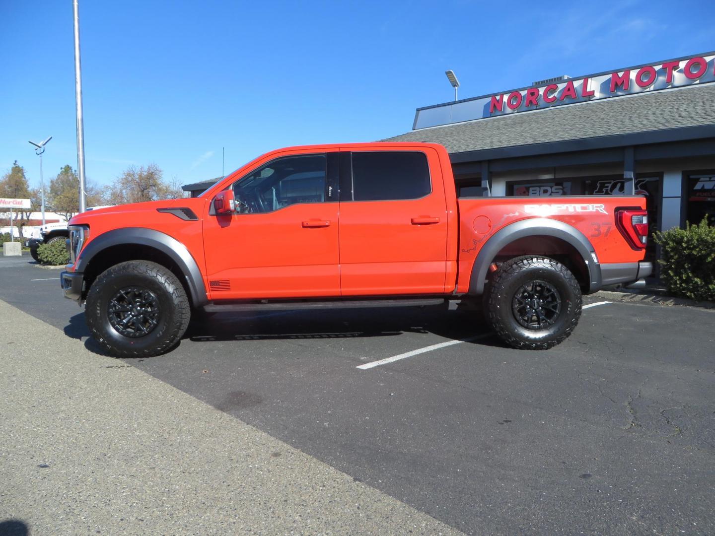 2023 Orange /Blue Ford F-150 Raptor 37 SuperCrew 4WD (1FTFW1RG4PF) with an 3.5 V6 engine, 6A transmission, located at 2630 Grass Valley Highway, Auburn, CA, 95603, (530) 508-5100, 38.937893, -121.095482 - Clean one owner Raptor 37 with Recaro Blue Accent seats, Pro Power Onboard 2K Generator, Power Tailgate, and Twin Panel Moonroof. - Photo#6